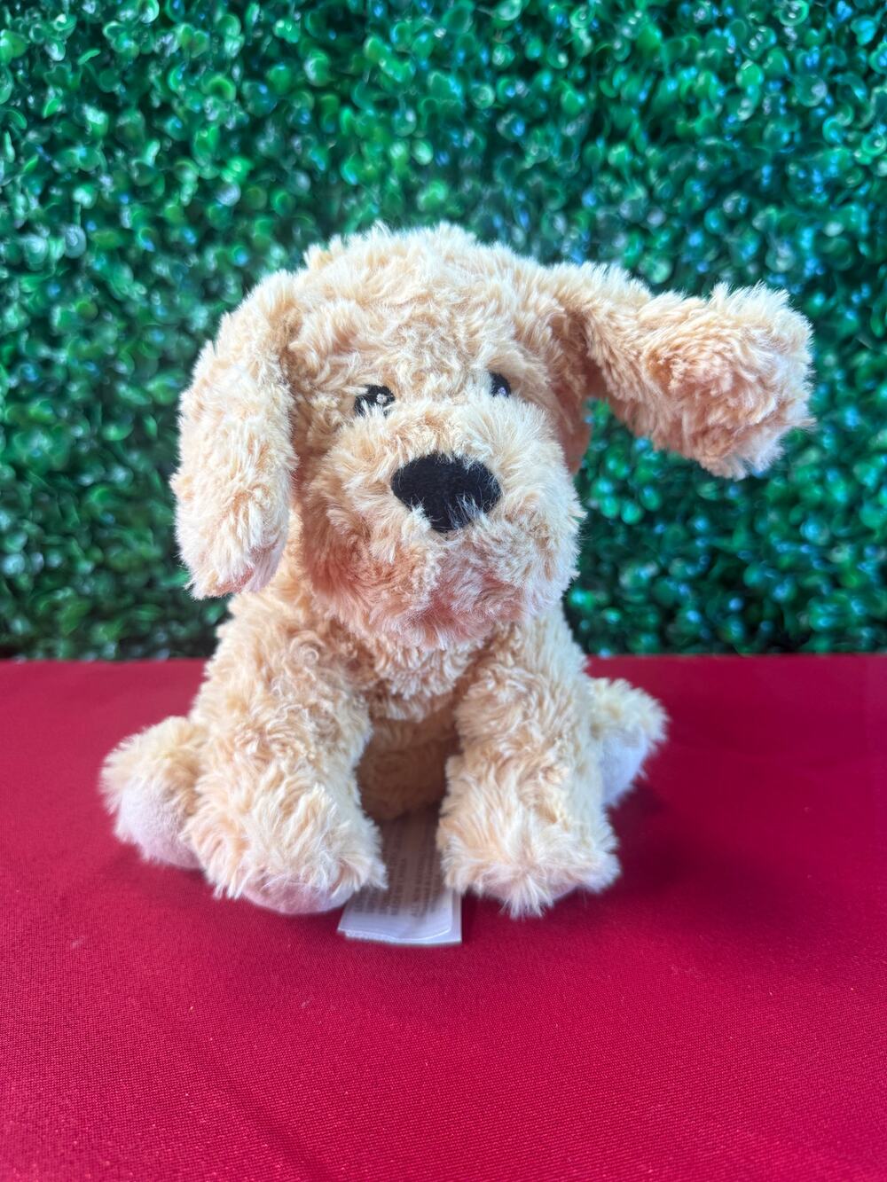 Warmies Microwavable Plush Golden Dog Heatable Stuffed Animal Stress Anxiety